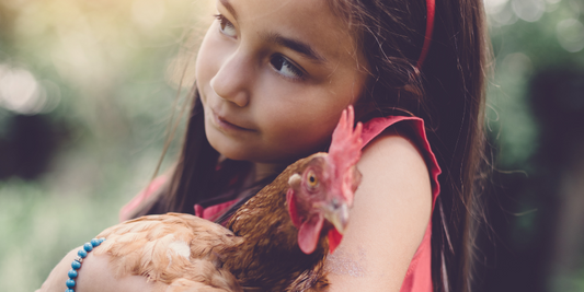 Which Chicken Breeds are Best for Children