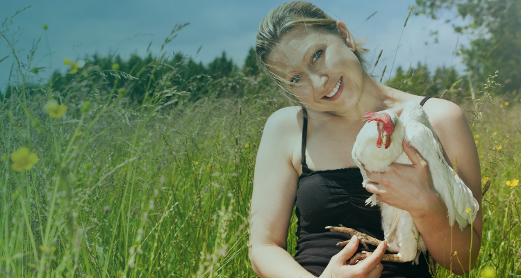 10 Reasons Why Chickens Are Better Than a Partner This Valentine’s Day