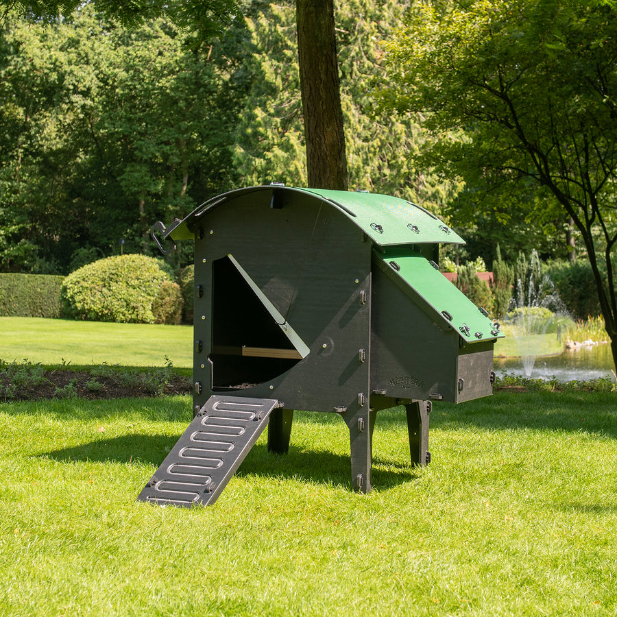 Chicken Coop